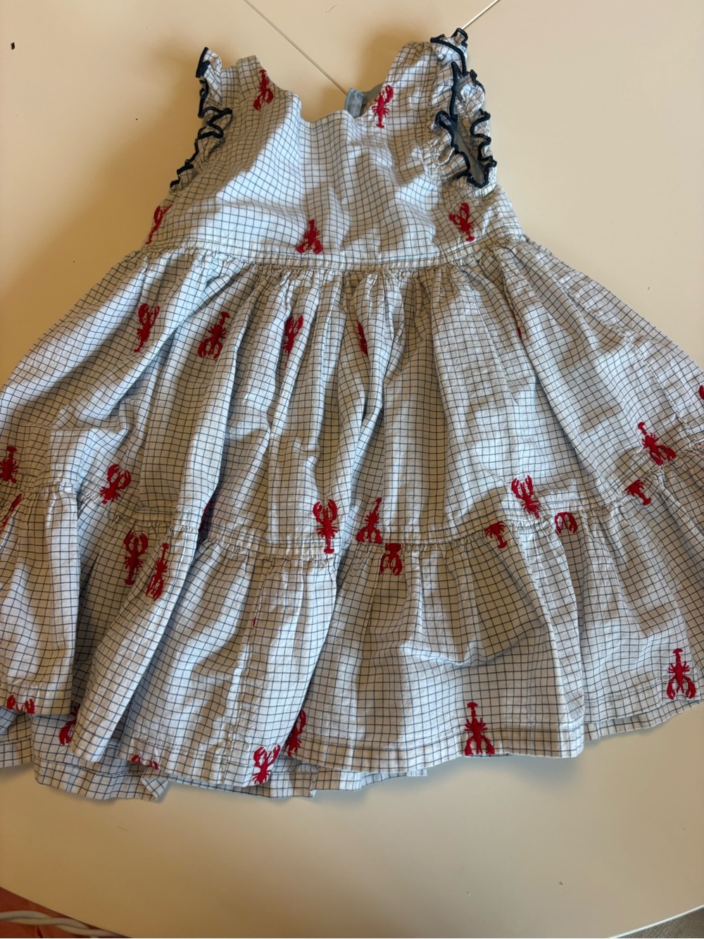 Pink Chicken Light Blue Checked Dress with Red Embroidery